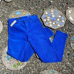 J Crew Midrise Toothpick Blue Corduroy Skinny 27 R